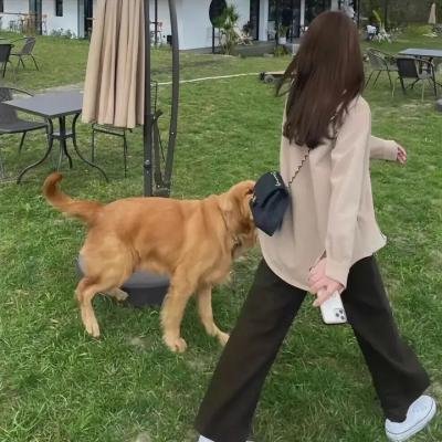 拉面首领